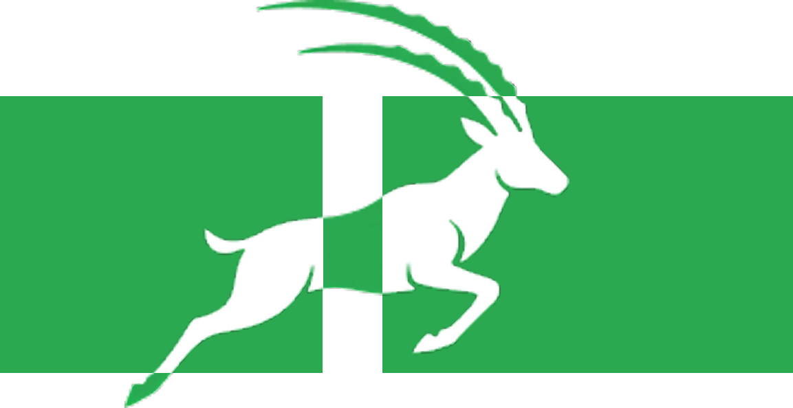 addax fancy logo