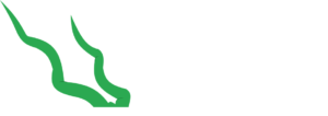 addaxlogo