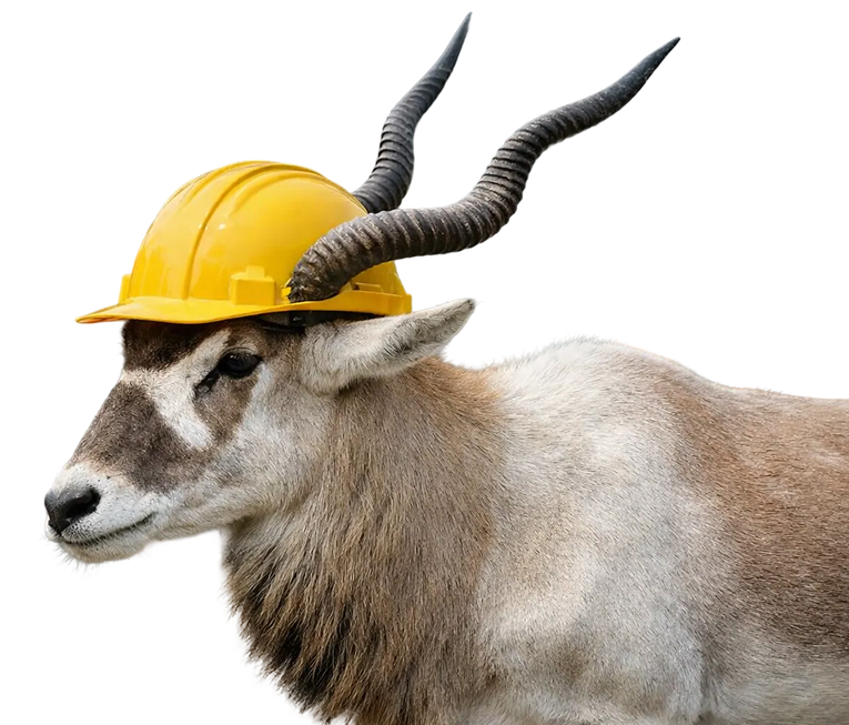 addax bigg